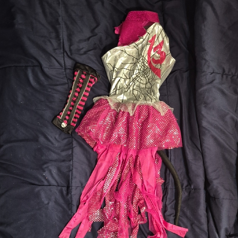 Monster High Catty Noir Pink and Silver Kids Costume